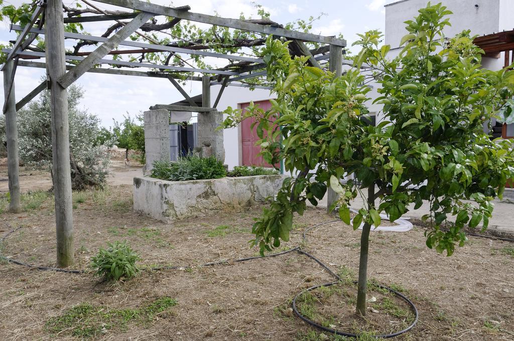 Villa Agrimat Salento Sas Alezio Exterior foto